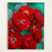 Rote Rosen Blassgrüne Blätter Planer (Vorderseite)