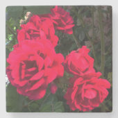 Rote Rosen Blooming Square Paper Untersetzer (Vorderseite)
