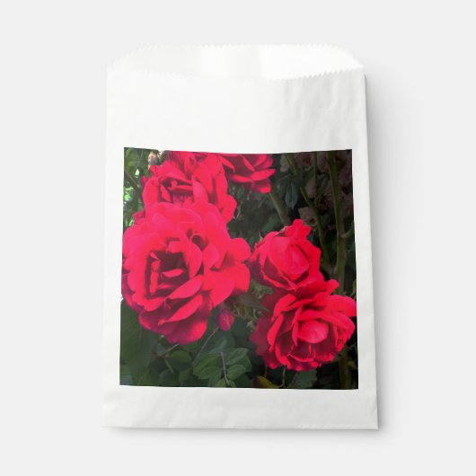 Rote Rosen blühen Geschenktütchen (Vorderseite)
