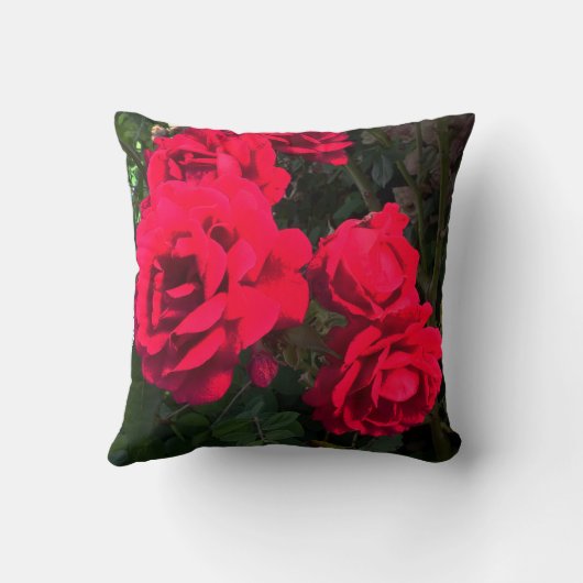 Rote Rosen blühen Kissen (Rückseite)