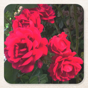 Rote Rosen blühen Rechteckiger Pappuntersetzer