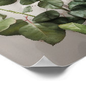 Rote Rosen Blume Art Print Poster (Ecke)