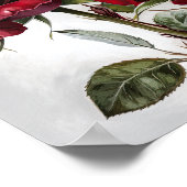 Rote Rosen Blume Art Print Poster (Ecke)