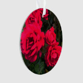 Rote Rosen Blume Ornament (Vorderseite)