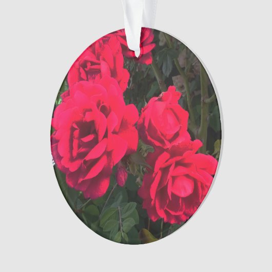 Rote Rosen Blume Ornament (Vorderseite)