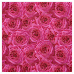 Rote Rosen, Blume, Rot, Liebe Stoff