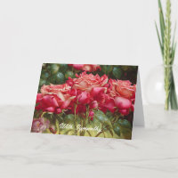 Rote Rosen Bunch im Garten