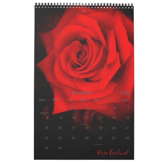 rote Rosen CalBest Edition レ ダ Kalender (Nov 2026)