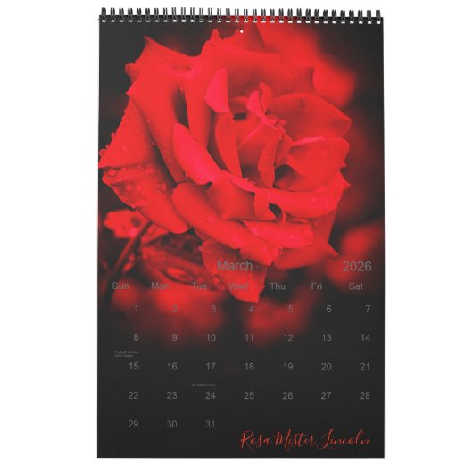 rote Rosen CalBest Edition レ ダ Kalender (Mär 2026)