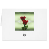 Rote Rosen der doppelten Flamme-Liebe (Rückseite Horizontal)