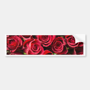 Rote Rosen des Valentines Tages Autoaufkleber
