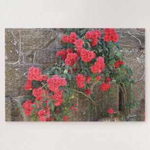 Rote Rosen, die auf Ziegelmauer klettern, Spanien Puzzle
