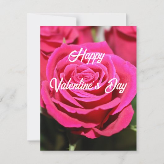 Rote Rosen Feiertagskarte (Vorderseite)