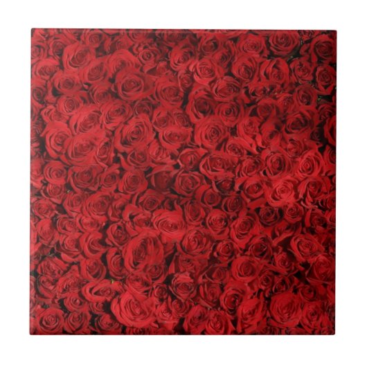 Rote Rosen Fliese (Vorderseite)