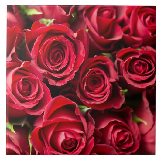 Rote Rosen Fliese (Vorderseite)