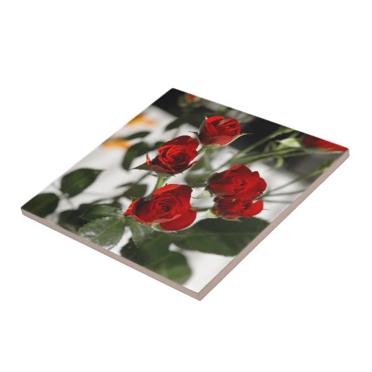 Rote Rosen Fliese (Seite)