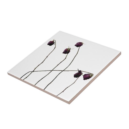 Rote Rosen Fliese (Seite)