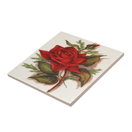 Rote Rosen Fliese (Seite)