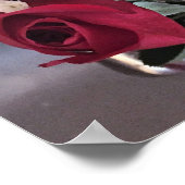Rote Rosen Foto Poster (Ecke)