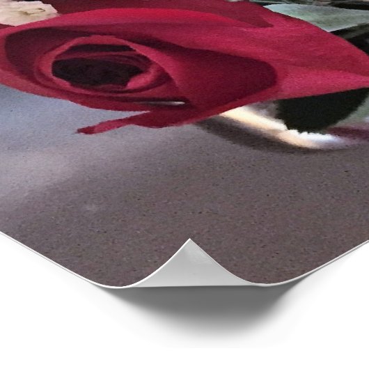 Rote Rosen Foto Poster (Ecke)