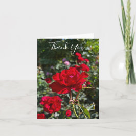 Rote-Rosen-Fotografie gefaltete Dankeskarte