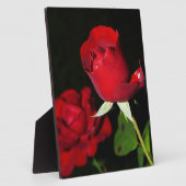 Rote Rosen Fotoplatte (Seite)