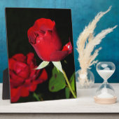 Rote Rosen Fotoplatte (Seite)