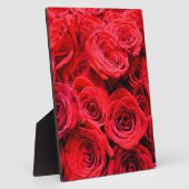 Rote Rosen Fotoplatte (Seite)