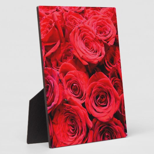 Rote Rosen Fotoplatte (Seite)