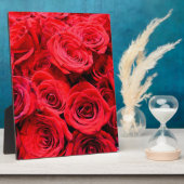 Rote Rosen Fotoplatte (Seite)