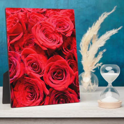 Rote Rosen Fotoplatte (Seite)