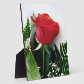 Rote Rosen Fotoplatte (Seite)