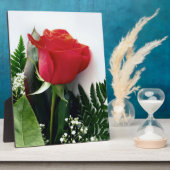Rote Rosen Fotoplatte (Seite)