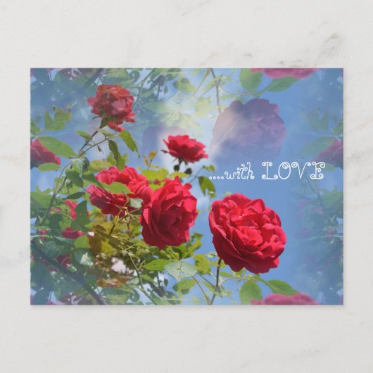 Rote Rosen für Dich ... Postkarte (Vorderseite)