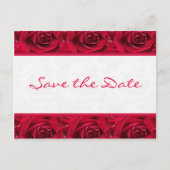 Rote Rosen Galore Save the Date Card Ankündigungspostkarte (Vorderseite)