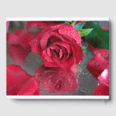 Rote Rosen Gästebuch (Rückseite)