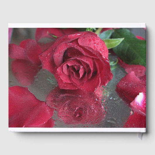 Rote Rosen Gästebuch (Rückseite)