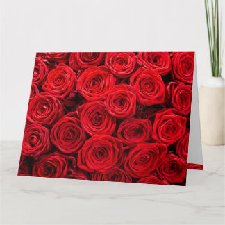 Rote Rosen Geburtstag Karte