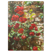 Rote Rosen gegen eine Steinmauer Klemmbrett (Rückseite)