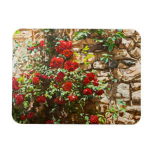 Rote Rosen gegen eine Steinmauer Magnet
