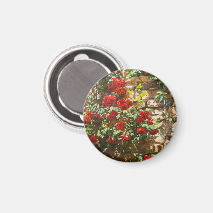 Rote Rosen gegen eine Steinmauer Magnet