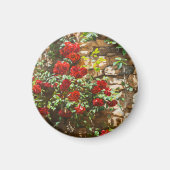 Rote Rosen gegen eine Steinmauer Magnet (Vorne)