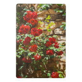 Rote Rosen gegen eine Steinmauer Mini Klemmbrett (Rückseite)