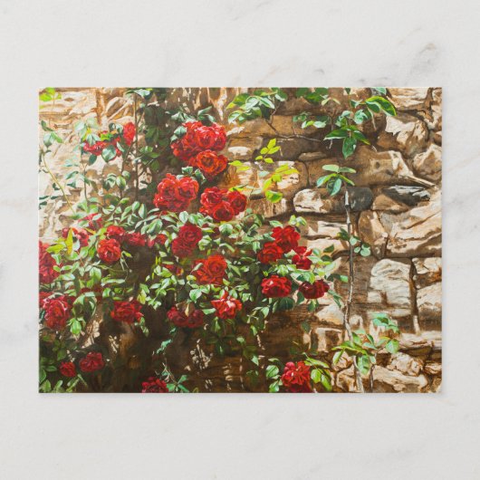 Rote Rosen gegen eine Steinmauer Postkarte (Vorderseite)