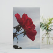 Rote Rosen gegen einen hellen blauen Himmel (Stehend Vorderseite)