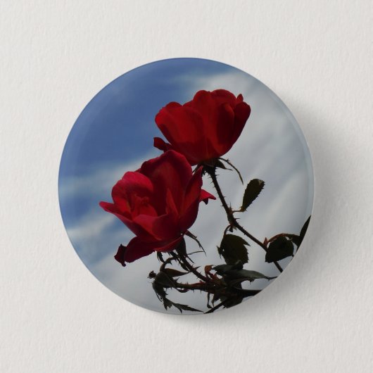 Rote Rosen gegen einen hellen blauen Himmel Button (Vorderseite)
