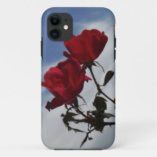 Rote Rosen gegen einen hellen blauen Himmel Case-Mate iPhone Hülle