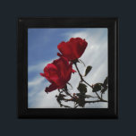 Rote Rosen gegen einen hellen blauen Himmel Erinnerungskiste<br><div class="desc">Rote Rosen gegen ein blaues Foto von Sandy Closs,  aufgenommen am Arrowhead See. "rote Rose""rote Rosen""rosa Rosen""Rosa Rosen""Hochzeiten""Liebe-Geschenk""Rote Blume""Rote Blume""Rote Blüten" Rose "Geschenke mit Rose"</div>