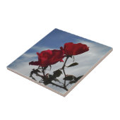 Rote Rosen gegen einen hellen blauen Himmel Fliese (Seite)