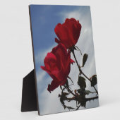 Rote Rosen gegen einen hellen blauen Himmel Fotoplatte (Seite)